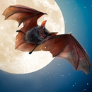 Selvagem Bat 3D Simulator APK