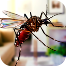 Flying Insect Mosquito Home Li APK