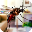 Flying Insect Mosquito Home Li