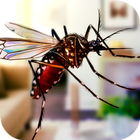 Insecto volador Mosquito Home  icono