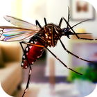 Flying Insect Mosquito Home Li icon