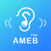 AURALBOOK for AMEB Grade 1-8