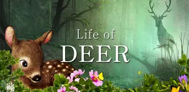 Life Of Deer
