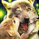 Wolf Online 2 aplikacja