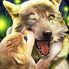 Wolf Online 2 Zeichen