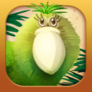 Kakapo Run APK