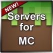 Servers for MC