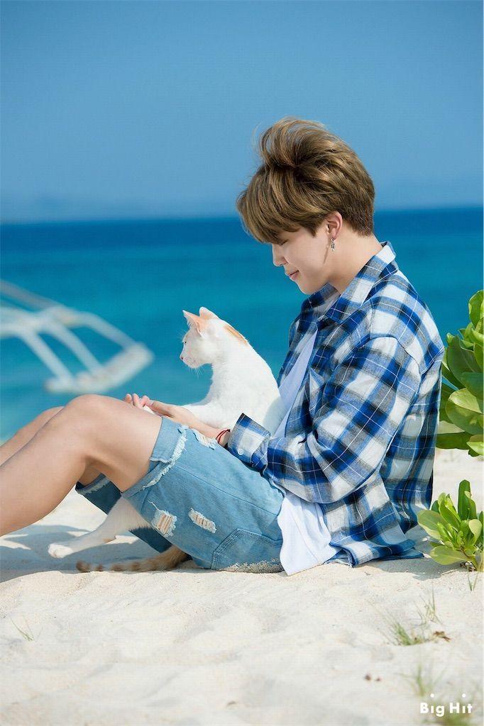 Descarga de APK de Fondos de pantalla y canciones de BTS Jimin para Android Descarga de APK de Fondos de pantalla y canciones de BTS Jimin para Android
