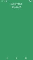 Random Color পোস্টার
