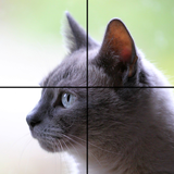 Adorable Cat Puzzles APK