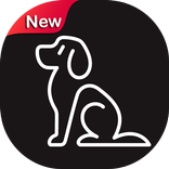 How To Train Your Dog ★★★★★