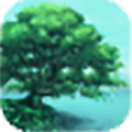 De boom