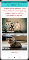 Funny Cat Pictures Memes Affiche