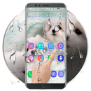 Cute Puppy Water Ripple LWP APK