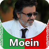Moein-icoon