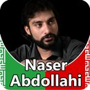 Naser Abdollahi - songs offline APK