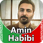 Amin Habibi icône