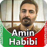 Amin Habibi icono
