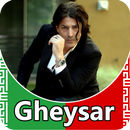 Gheysar - songs offline APK