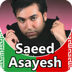 Saeed Asayesh icon