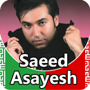 Saeed Asayesh - songs offline aplikacja