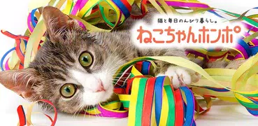 猫のニュースや飼い方の情報をまとめ読み -ねこちゃんホンポ-