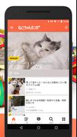 猫のニュースや飼い方の情報をまとめ読み -ねこちゃんホンポ- ảnh chụp màn hình 1