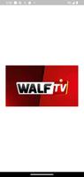 Walf tv en direct senegal স্ক্রিনশট 2