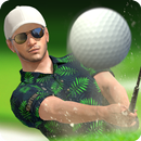 Roi du Golf – Tournée mondiale APK