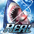 RealFishing3D icône