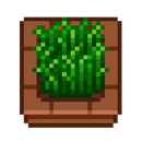 Pocony APK