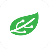 Phytech أيقونة