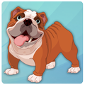 Bulldog Pet Dog 3D