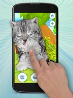 Talking Cat poster