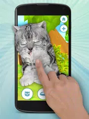 Talking Cat Funny Kitten Sound APK download