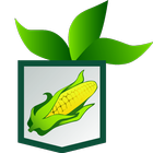 Sweet Corn Scout icon