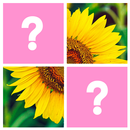 Word Pics: Trivia Puzzles APK