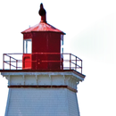 Beacon to Shelburne APK