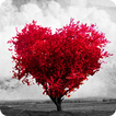 Poemas de Amor