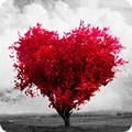 Poemas de Amor