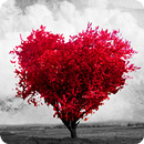 Poemas de Amor APK
