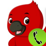 Fake Calling Bird Games Sim