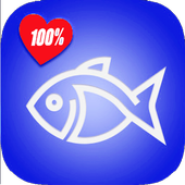 Plenty Of Fish Dating App Apk Download