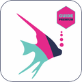Advice For POF Free Dating App For Android 2020