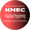 ”Visual Basic Programming