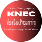 Visual Basic Programming icon
