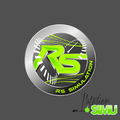 RS Simulation