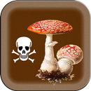 ядовитые грибы APK