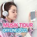 Musik Untuk Tidur Offline 2022