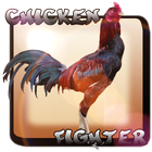 ikon Chicken Fighter INDONESIA